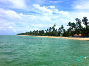 Praia dos Carneiros