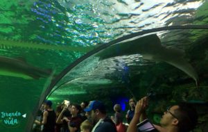 Ripley's Aquarium Toronto