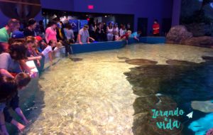 Ripley's Aquarium Toronto
