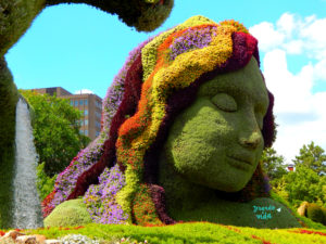 jardins Ottawa - Gatineau